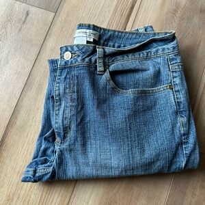 Coldwater Creek floral embroidered Blue Straight Jeans size 12